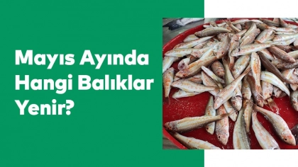 Mayıs Ayında Hangi Balıklar Yenir?