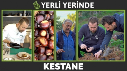 Yerli Yerinde 1.Bölüm: Kestane