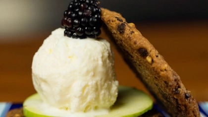 Pratik Vanilyalı Dondurma Tarifi