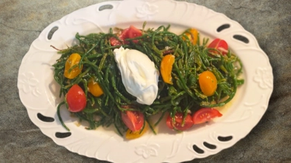 Ekşi Kremalı Deniz Börülcesi Tarifi