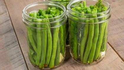 Fasulye Turşusu Tarifi